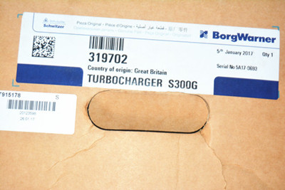 (image for) New Original BorgWarner 319702